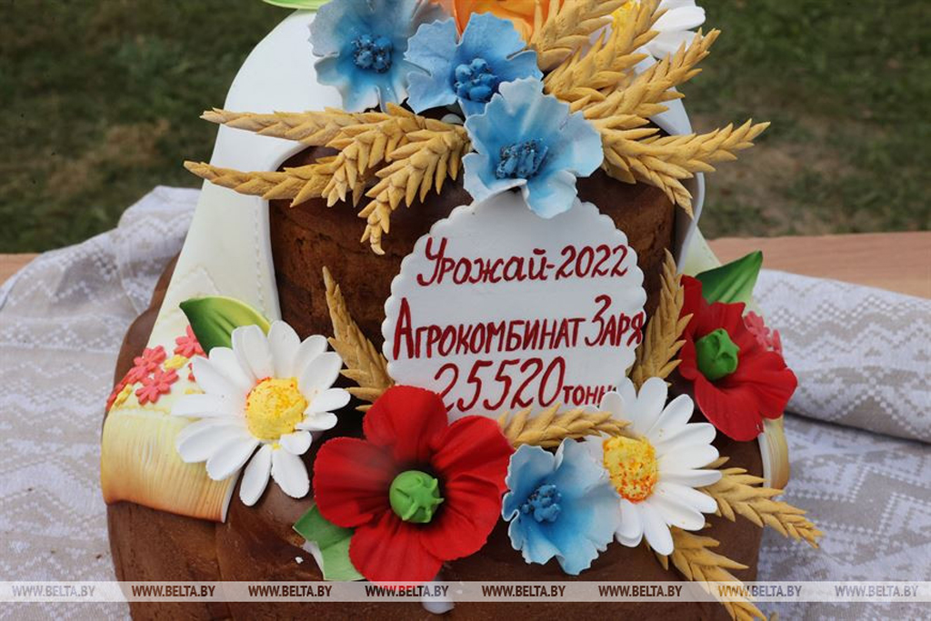 Праздник труда и хлеборобов, или Первые «Дажынкi-2022» в Могилевской области