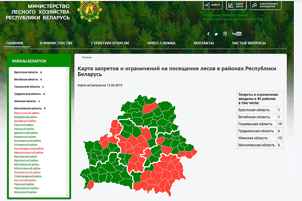 Запрет на посещение лесов введен в шести районах Могилевской области