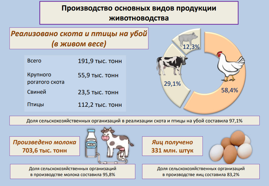 О численности скота и птицы, производстве продукции животноводства в хозяйствах всех категорий за 2022 год