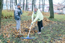 Горецкий район