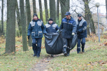 Горецкий район