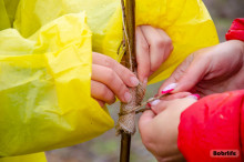 Бобруйский район