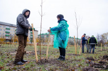 Бобруйский район