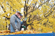 Мстиславский район