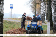 Чаусский район