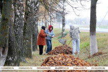 Чаусский район