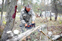Климовичский район