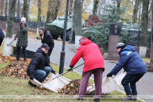 Шкловский район