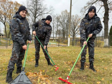Кричевский район