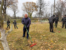 Кричевский район
