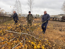 Кричевский район