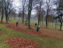 Могилевский район