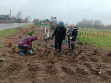 Могилевский район
