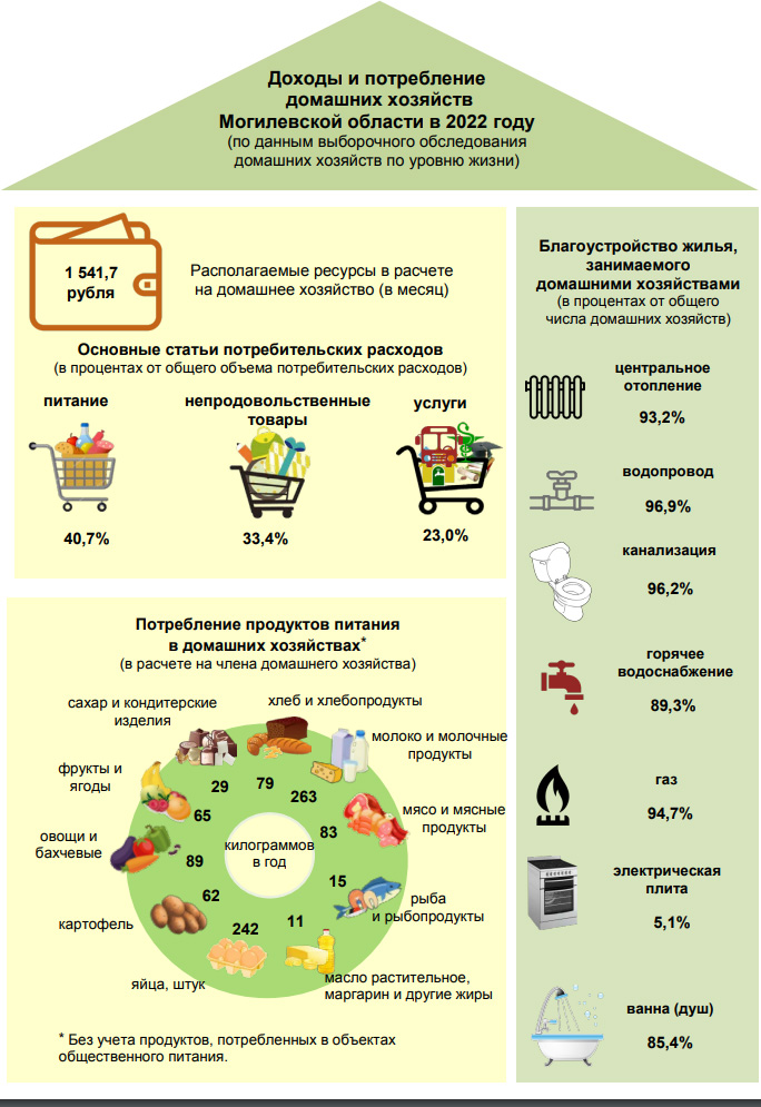 Наглядно о доходах и потреблениях домашних хозяйств Могилевской области, 2022 год