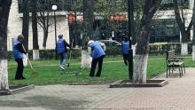 Бобруйский район