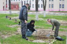 Чериковский район