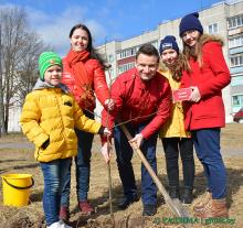 «Парк семейных деревьев»: Глуск