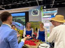 Могилевская область на выставке «Моя Беларусь» 