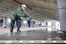 Чаусский район