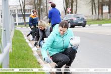 Чаусский район