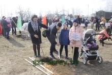 «Парк семейных деревьев»: Осиповичи