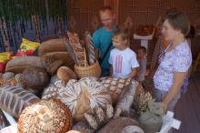 Александрия собирает друзей