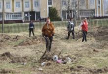Дрибинский район