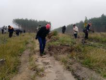 Бобруйский район