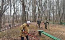 Чаусский район