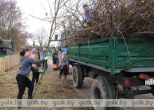 Костюковичский район