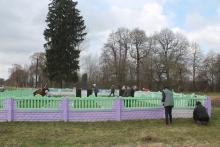 Чаусский район