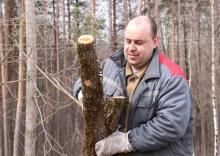 Костюковичский район