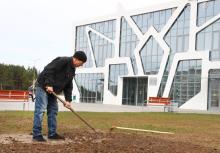 Костюковичский район