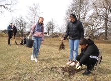 Костюковичский район
