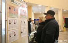 Дрибинский район