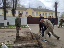 Чаусский район