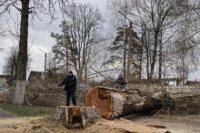Осиповичский район