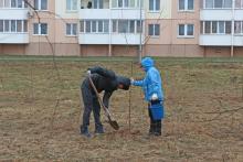 Чаусский район