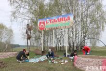 Дрибинский район