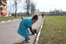 Горецкий район