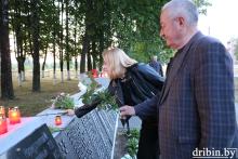 Дрибинский район