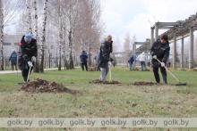 Костюковичский район