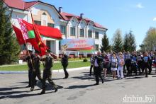 Дрибинский район