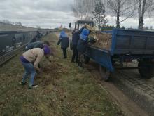 Осиповичский район