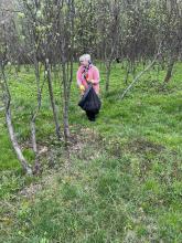 Комитет по труду, занятости и социальной защите Могилевского облисполкома