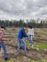Главное управление по образованию Могилевского облисполкома