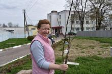 Кричевский район