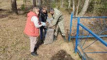Бобруйский район