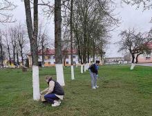 Климовичский район