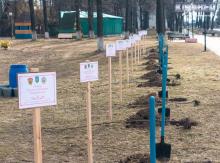 «Парк семейных деревьев»: Кировск